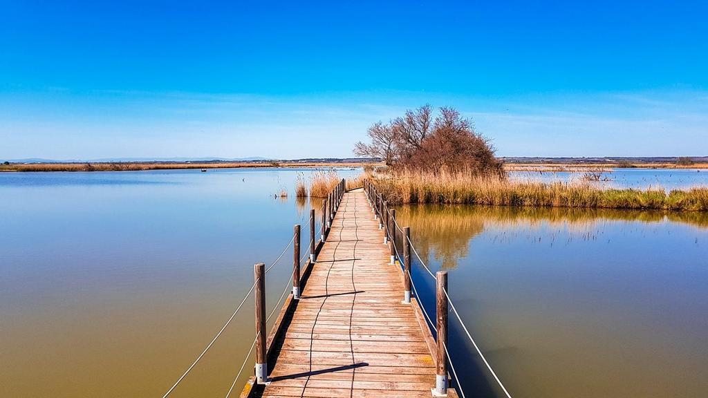Appartement Proche Plage Le Grau-du-Roi Dış mekan fotoğraf